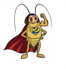 cockroach-cartoon-2