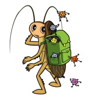 cockroach-cartoon-3